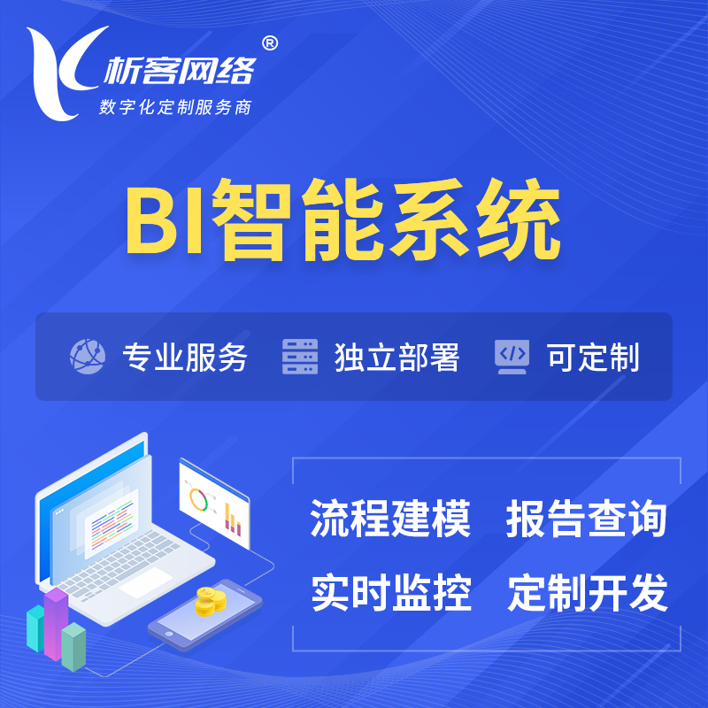 中山BI智能系统 | BI数据可视化