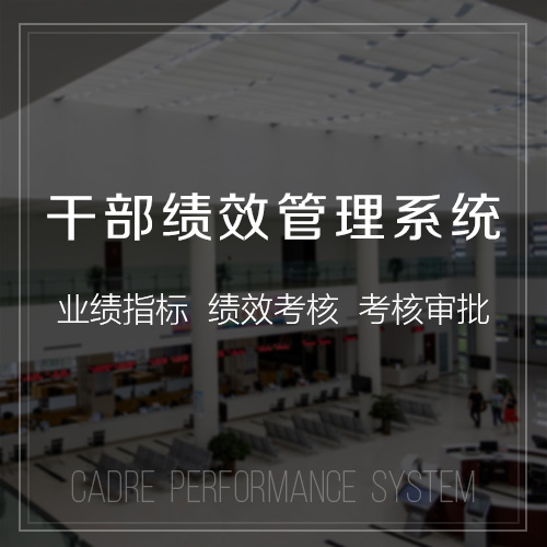 中山国产化网站定制的安全性与合规性探讨
