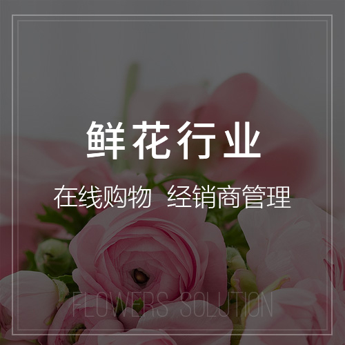 政府网站定制中的信息安全与合规性挑战